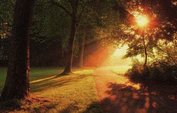 A quiet outdoor path in soft sunrise light